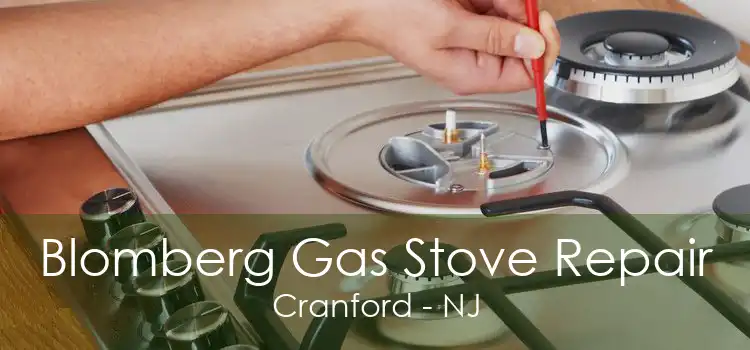 Blomberg Gas Stove Repair Cranford - NJ