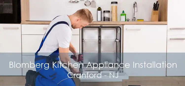 Blomberg Kitchen Appliance Installation Cranford - NJ