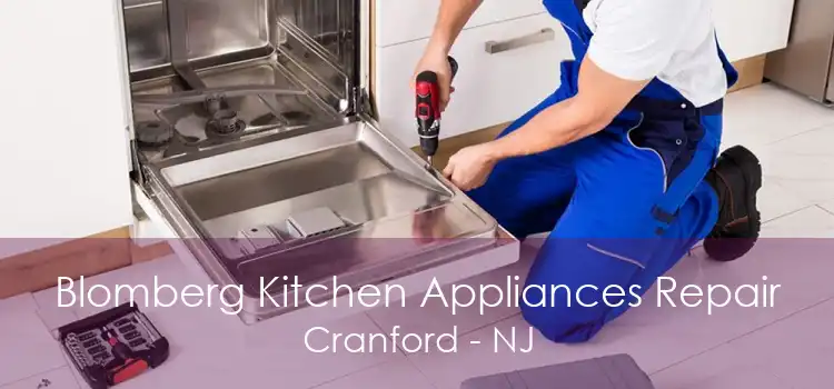 Blomberg Kitchen Appliances Repair Cranford - NJ