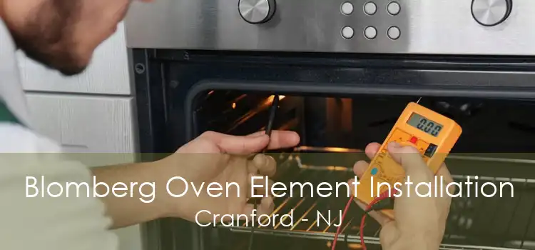 Blomberg Oven Element Installation Cranford - NJ