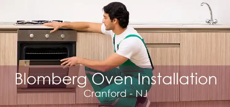 Blomberg Oven Installation Cranford - NJ