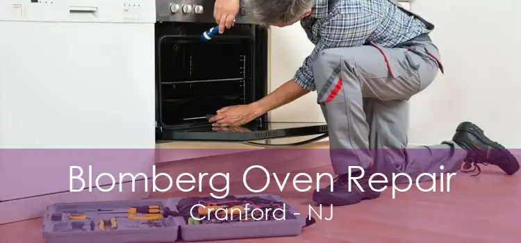 Blomberg Oven Repair Cranford - NJ