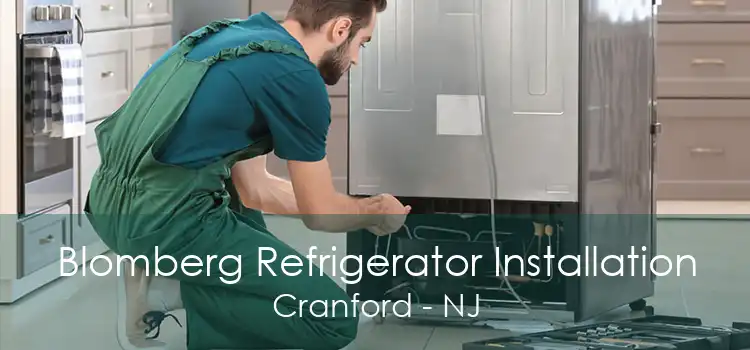 Blomberg Refrigerator Installation Cranford - NJ