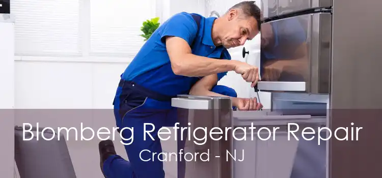 Blomberg Refrigerator Repair Cranford - NJ
