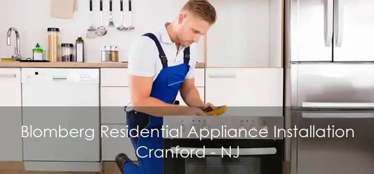 Blomberg Residential Appliance Installation Cranford - NJ
