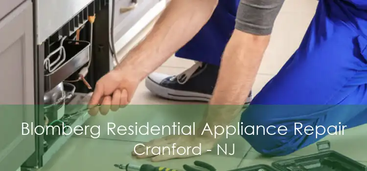 Blomberg Residential Appliance Repair Cranford - NJ