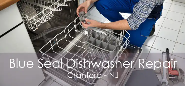 Blue Seal Dishwasher Repair Cranford - NJ