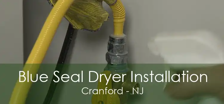 Blue Seal Dryer Installation Cranford - NJ
