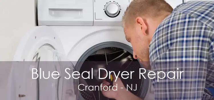 Blue Seal Dryer Repair Cranford - NJ
