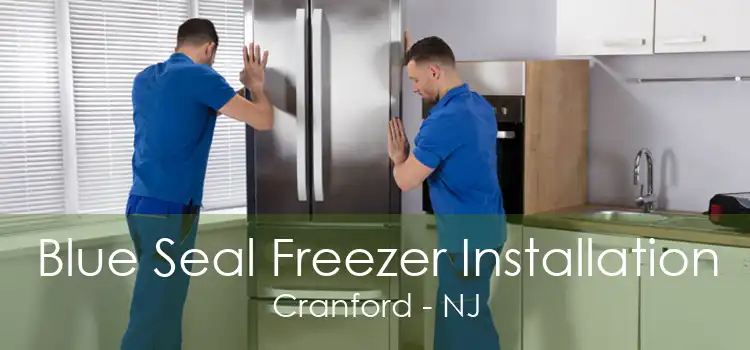 Blue Seal Freezer Installation Cranford - NJ