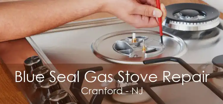 Blue Seal Gas Stove Repair Cranford - NJ