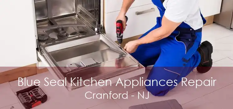 Blue Seal Kitchen Appliances Repair Cranford - NJ
