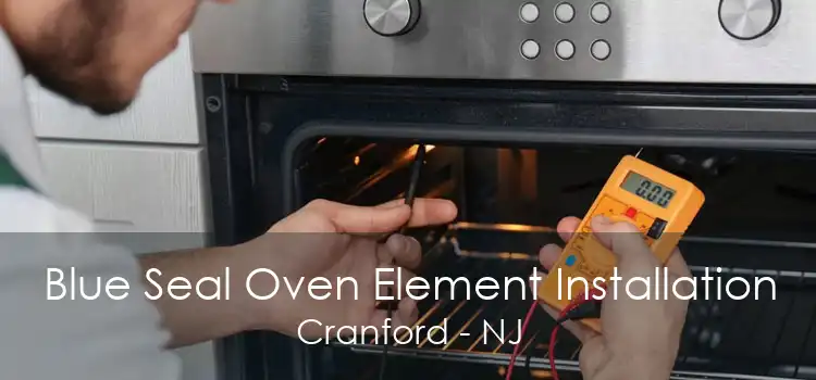Blue Seal Oven Element Installation Cranford - NJ