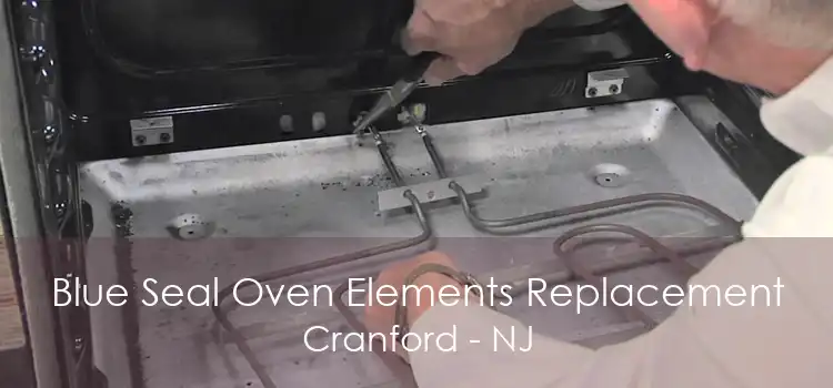 Blue Seal Oven Elements Replacement Cranford - NJ