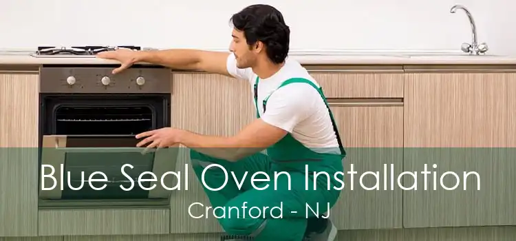 Blue Seal Oven Installation Cranford - NJ