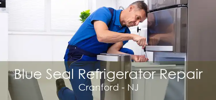 Blue Seal Refrigerator Repair Cranford - NJ
