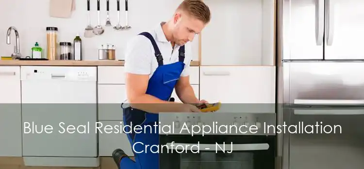 Blue Seal Residential Appliance Installation Cranford - NJ