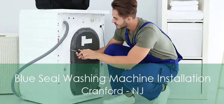 Blue Seal Washing Machine Installation Cranford - NJ