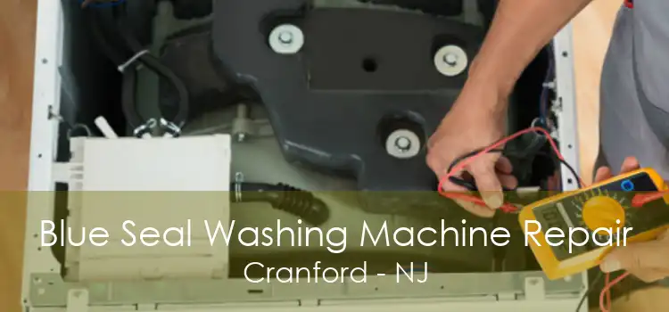 Blue Seal Washing Machine Repair Cranford - NJ