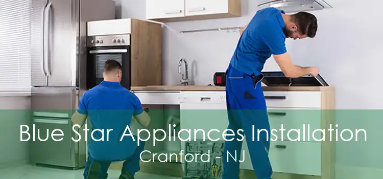 Blue Star Appliances Installation Cranford - NJ