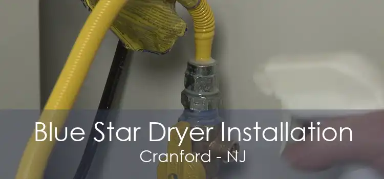 Blue Star Dryer Installation Cranford - NJ