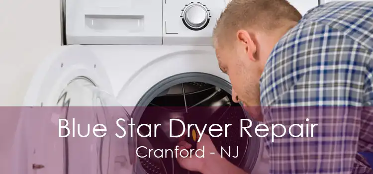 Blue Star Dryer Repair Cranford - NJ