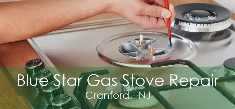 Blue Star Gas Stove Repair Cranford - NJ