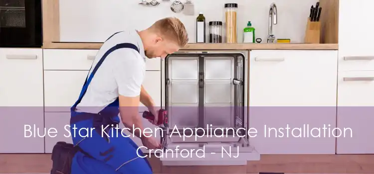 Blue Star Kitchen Appliance Installation Cranford - NJ