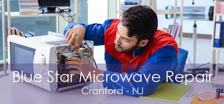 Blue Star Microwave Repair Cranford - NJ