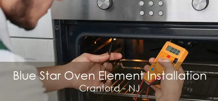 Blue Star Oven Element Installation Cranford - NJ