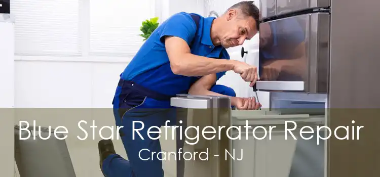 Blue Star Refrigerator Repair Cranford - NJ