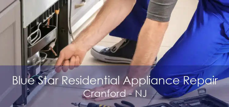 Blue Star Residential Appliance Repair Cranford - NJ
