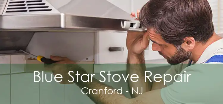 Blue Star Stove Repair Cranford - NJ