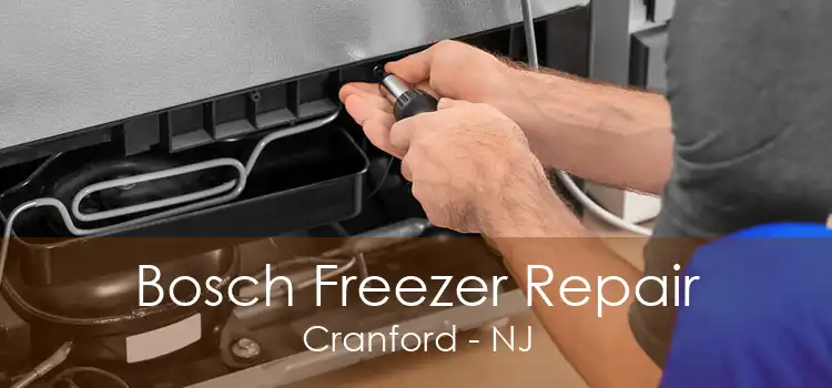 Bosch Freezer Repair Cranford - NJ