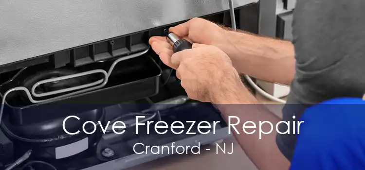 Cove Freezer Repair Cranford - NJ