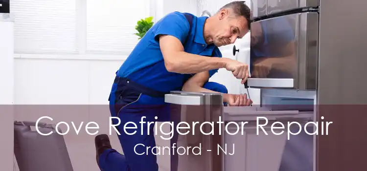 Cove Refrigerator Repair Cranford - NJ