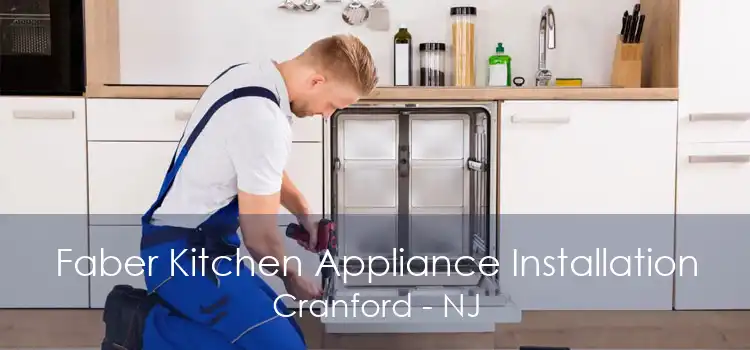 Faber Kitchen Appliance Installation Cranford - NJ