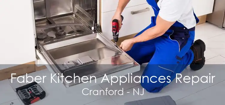 Faber Kitchen Appliances Repair Cranford - NJ