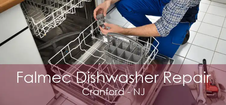 Falmec Dishwasher Repair Cranford - NJ