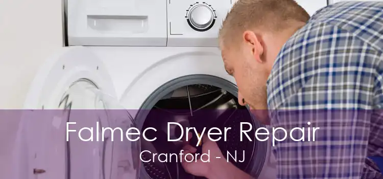 Falmec Dryer Repair Cranford - NJ
