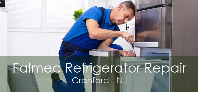 Falmec Refrigerator Repair Cranford - NJ