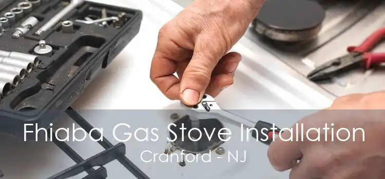 Fhiaba Gas Stove Installation Cranford - NJ