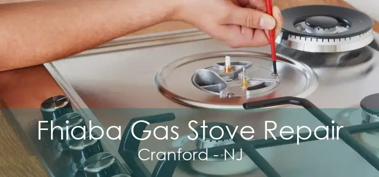 Fhiaba Gas Stove Repair Cranford - NJ