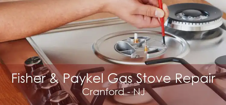 Fisher & Paykel Gas Stove Repair Cranford - NJ