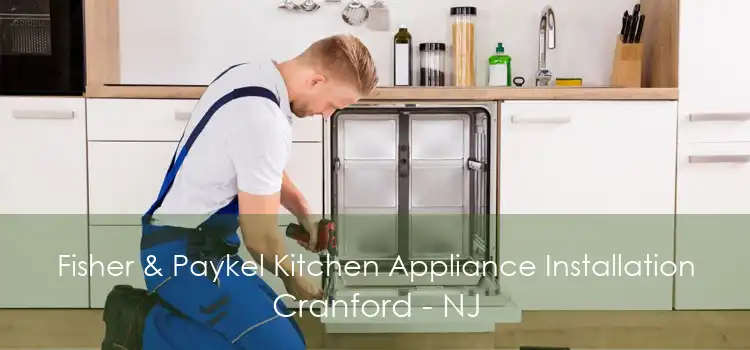Fisher & Paykel Kitchen Appliance Installation Cranford - NJ