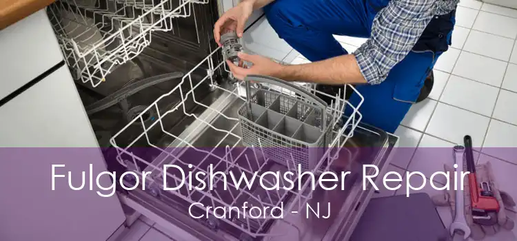 Fulgor Dishwasher Repair Cranford - NJ