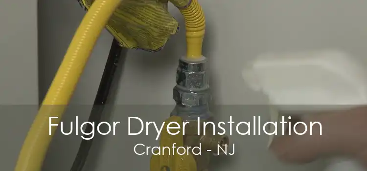 Fulgor Dryer Installation Cranford - NJ