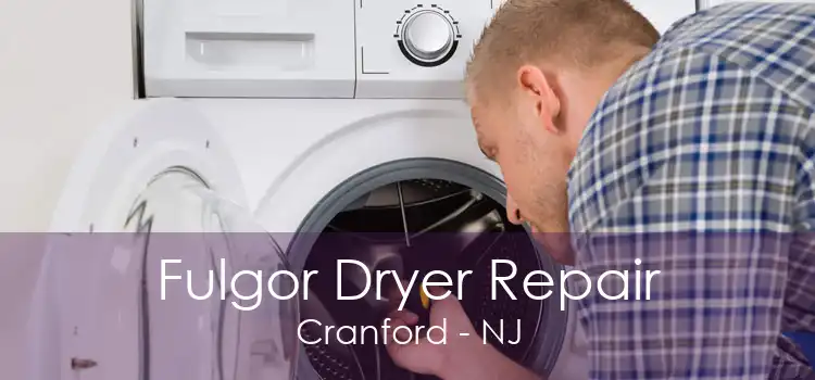 Fulgor Dryer Repair Cranford - NJ