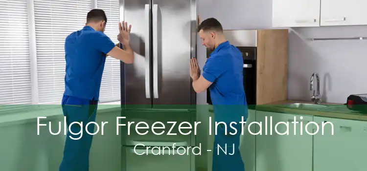 Fulgor Freezer Installation Cranford - NJ