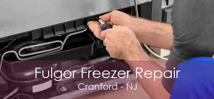 Fulgor Freezer Repair Cranford - NJ
